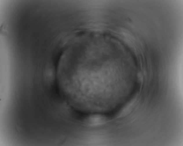 X0000092100231200709262147