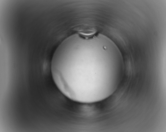 X0000092100232200709262147