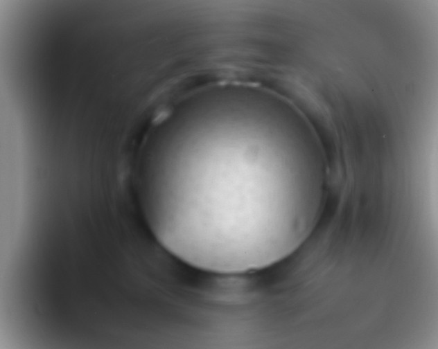 X0000092100233200709262147