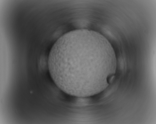 X0000092100234200709262147