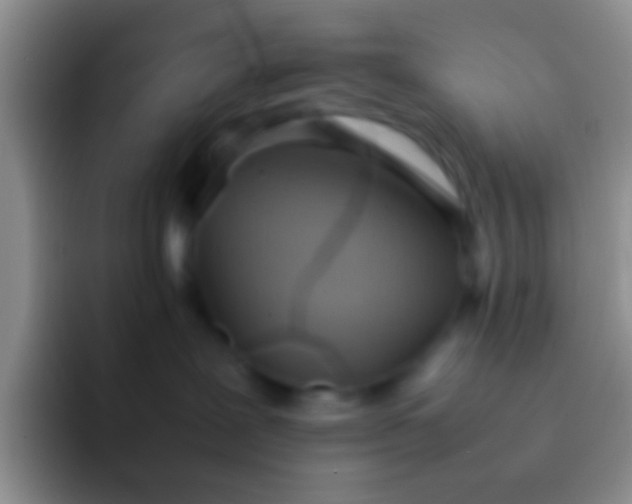 X0000092100239200709262147