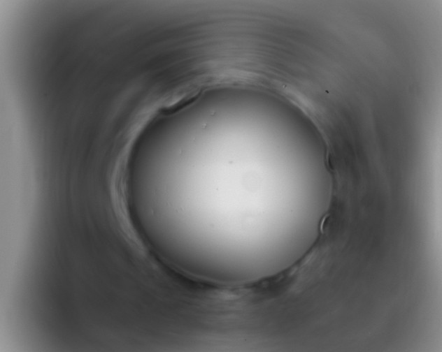 X0000092100241200709262146