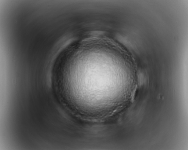 X0000092100243200709262146