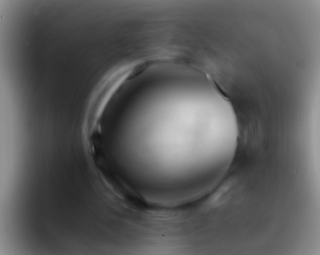 X0000092100244200709262146