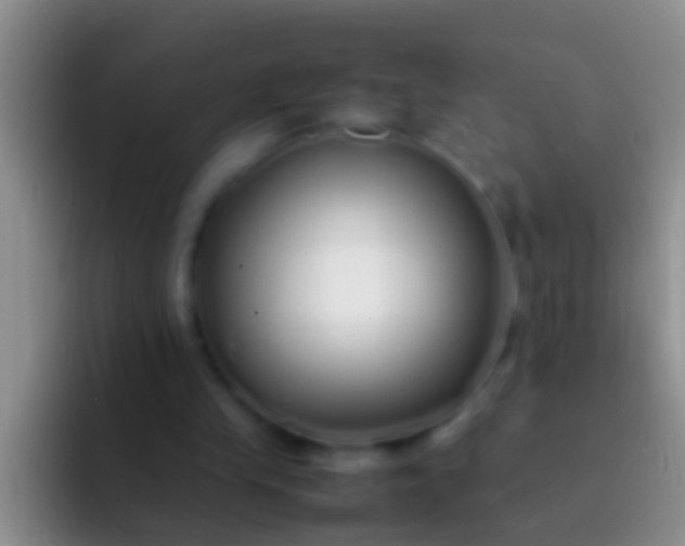 X0000092100245200709262146