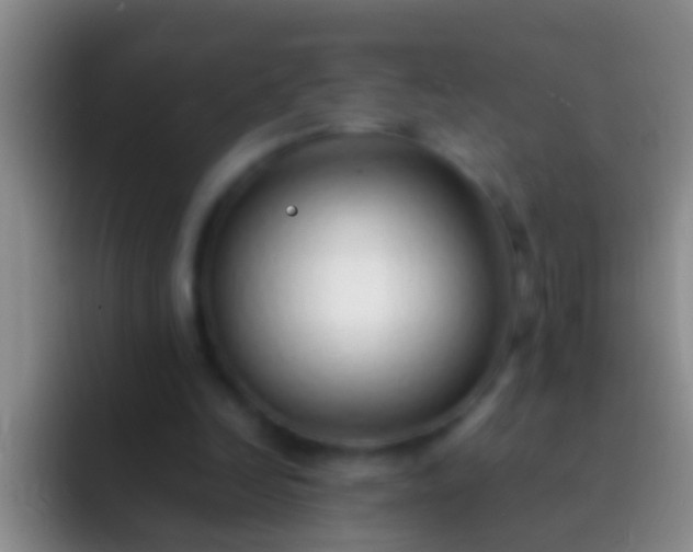 X0000092100246200709262146