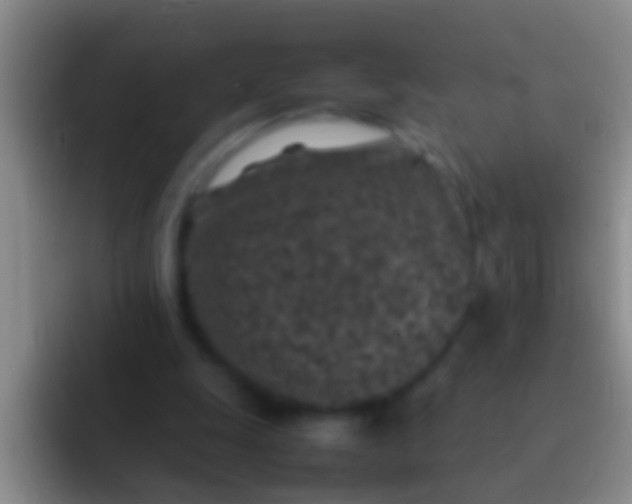 X0000092100247200709262146