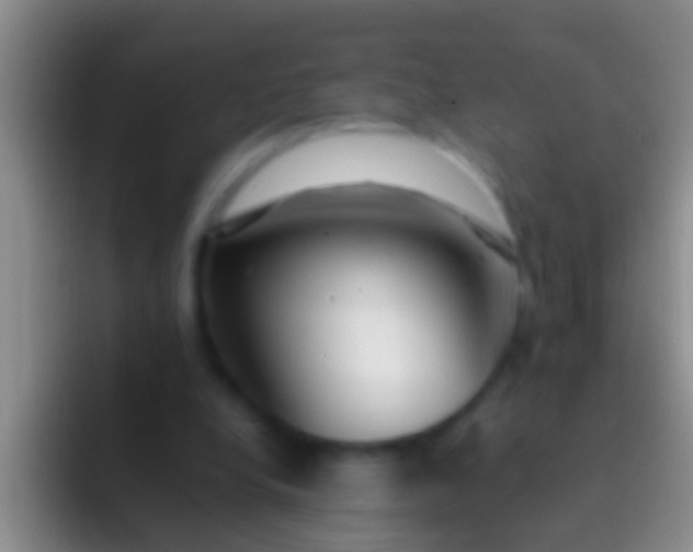 X0000092100248200709262146