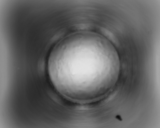 X0000092100250200709262146