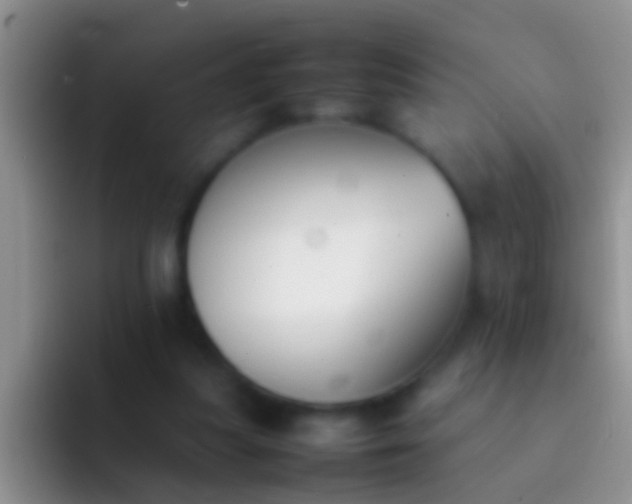 X0000092100251200709262146