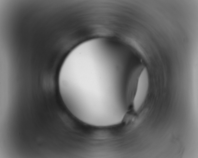 X0000092100252200709262146