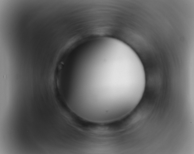 X0000092100256200709262146