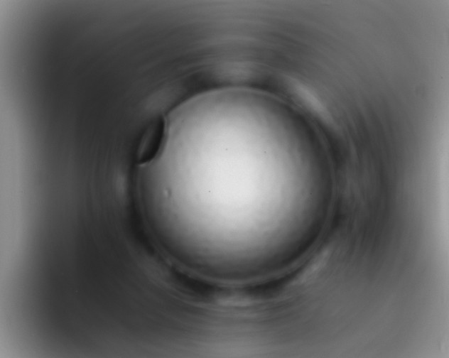 X0000092100258200709262146