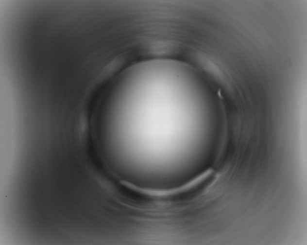 X0000092100260200709262146