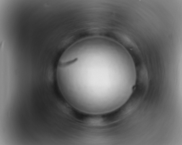 X0000092100266200709262146