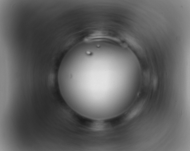 X0000092100269200709262146