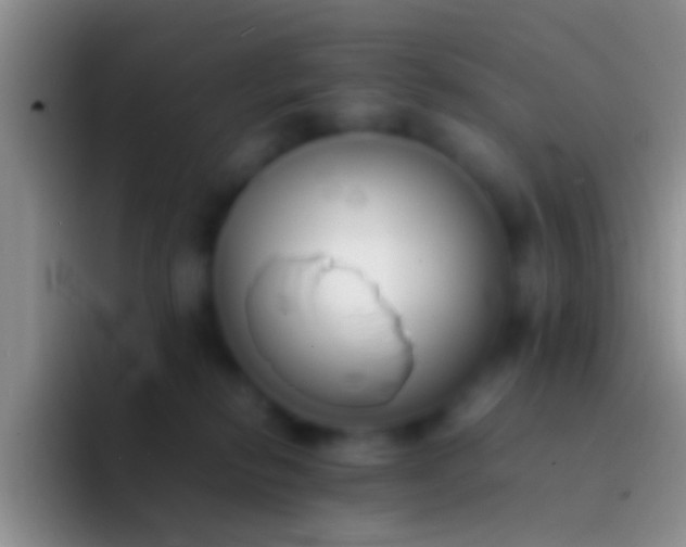 X0000092100278200709262146