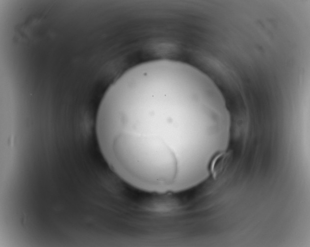 X0000092100279200709262146