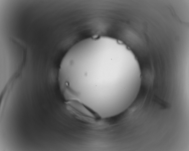 X0000092100280200709262146