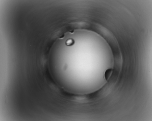 X0000092100284200709262146