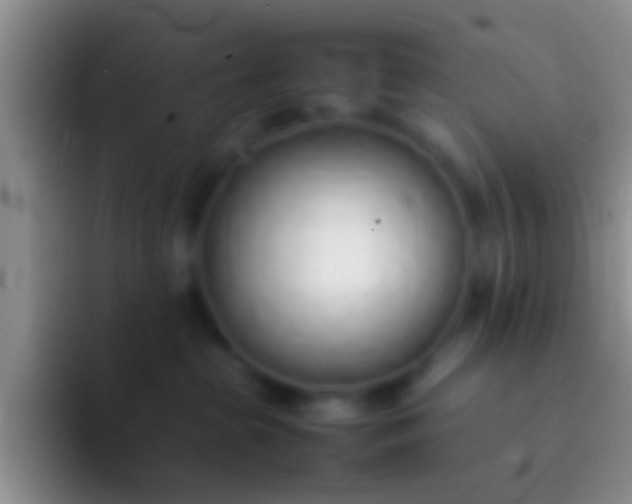 X0000092100285200709262146