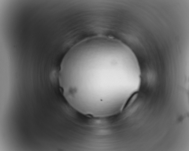 X0000092100286200709262146