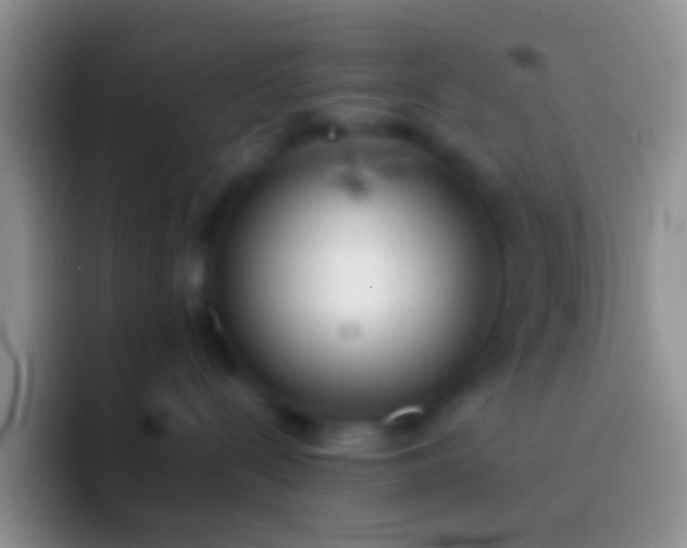 X0000092100288200709262147