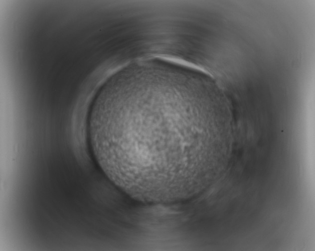 X0000092100290200709262146