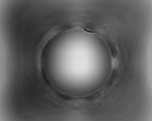 X0000092100291200709262146