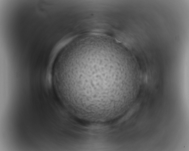 X0000092100294200709262146