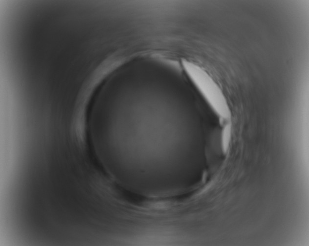 X0000092100295200709262146