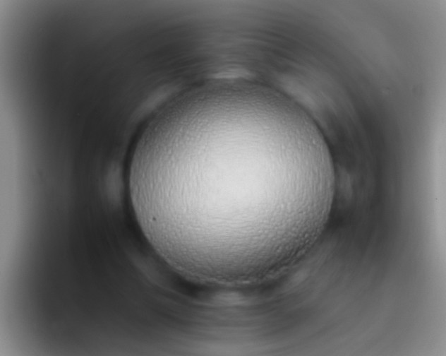 X0000092100298200709262146