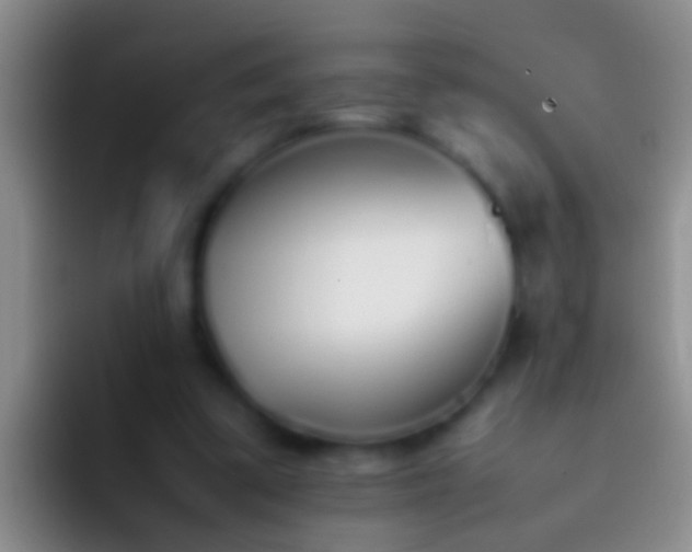 X0000092100299200709262146