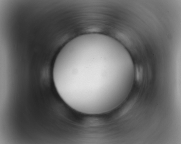 X0000092100300200709262146