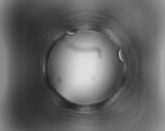 X0000092100301200709262146