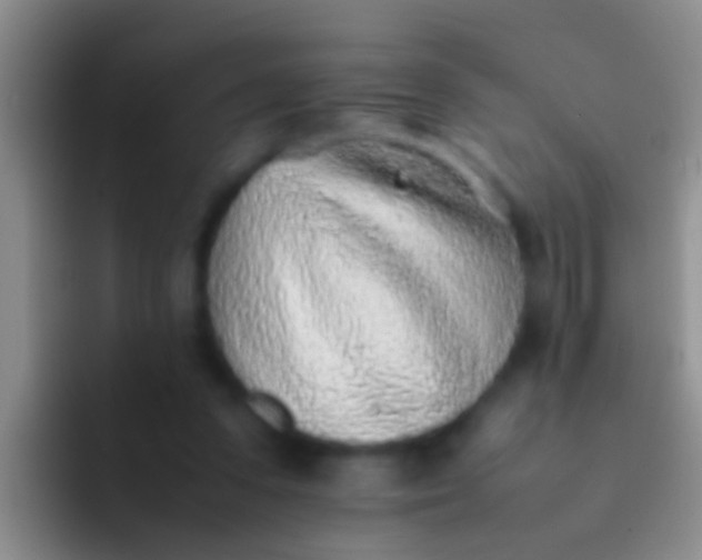 X0000092100303200709262146