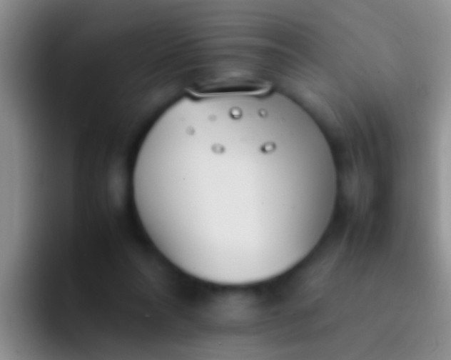 X0000092100304200709262146