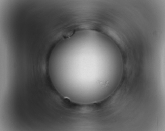 X0000092100305200709262146