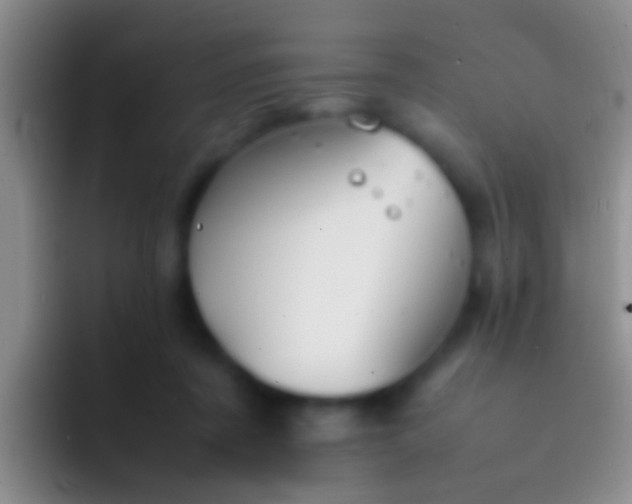 X0000092100311200709262146