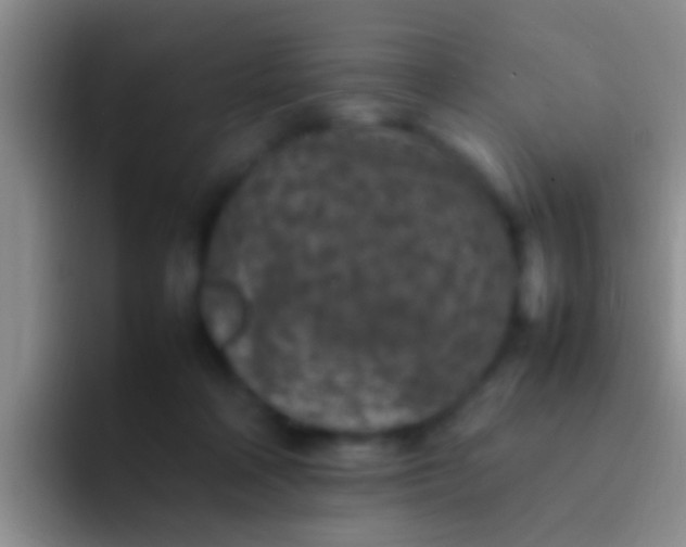 X0000092100314200709262146