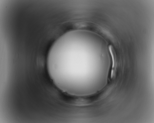 X0000092100315200709262146