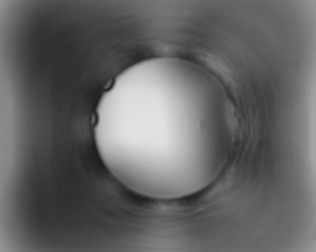 X0000092100317200709262146