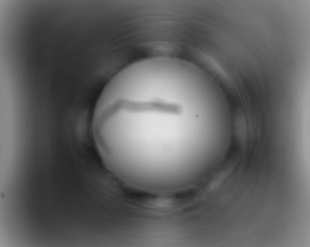 X0000092100318200709262146