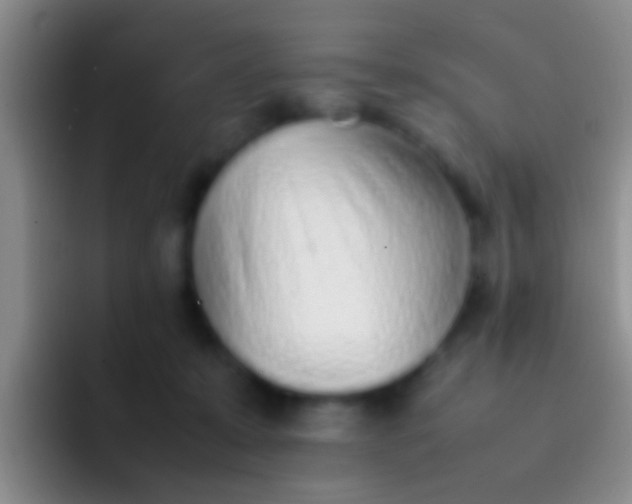 X0000092100319200709262146