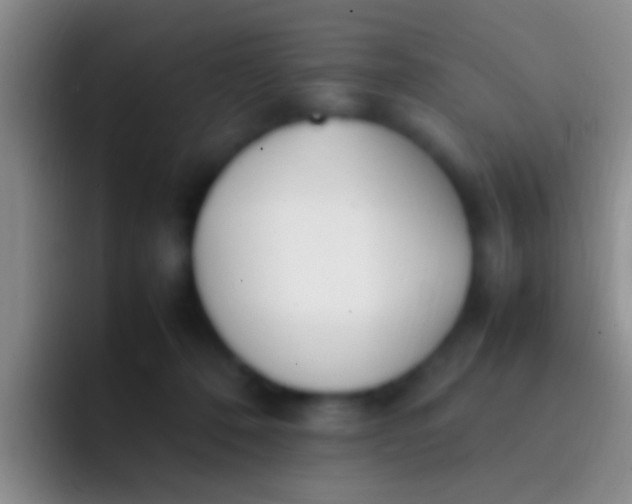 X0000092100320200709262146