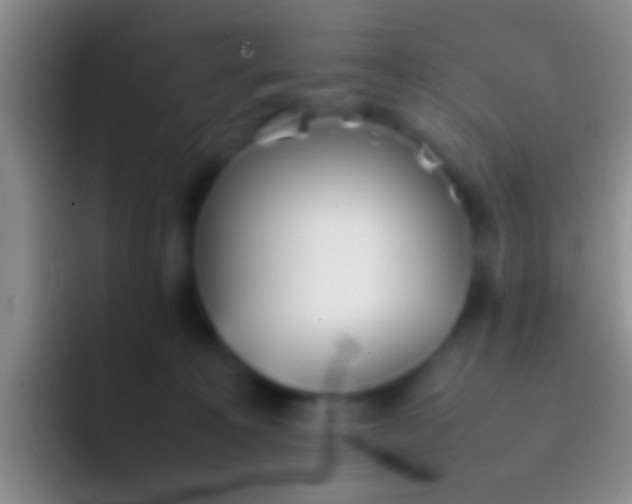 X0000092100323200709262146