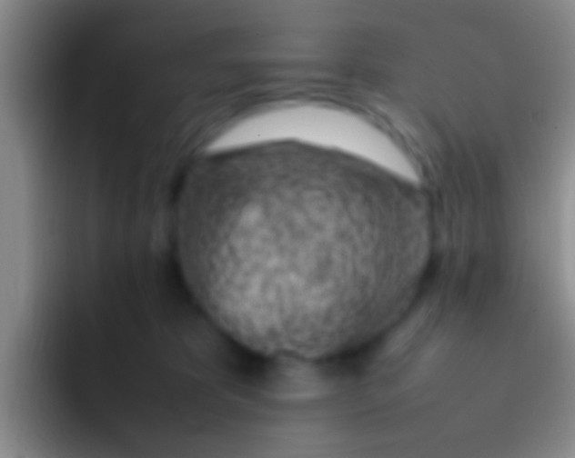 X0000092100325200709262146