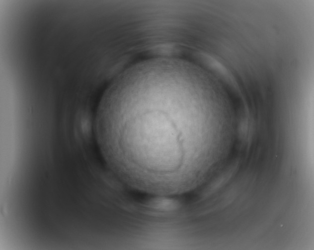 X0000092100326200709262146