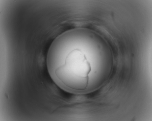 X0000092100327200709262146