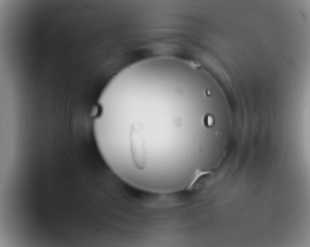 X0000092100329200709262146